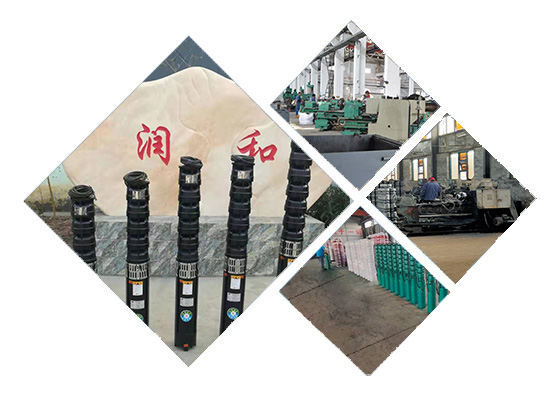 小鱼儿论坛精选资料